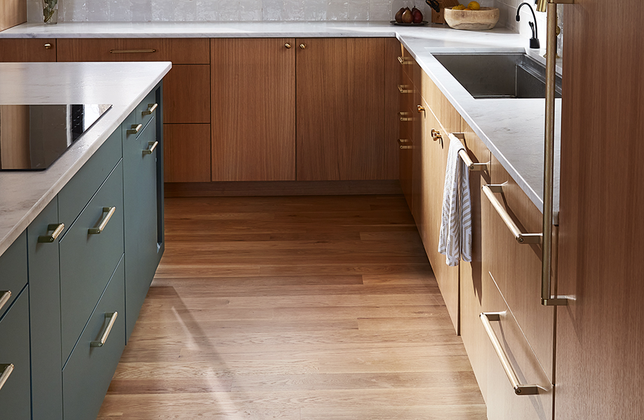 Concept 32 Custom Cabinet Studio FENIX NTM cabinets